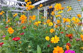Hear from pfi members around the. Bee Friendly Gardens Highlight The Project Green Tour Iowa Source
