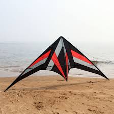 Freilein Large 2.5m 2 Line Stunt Kite Professional Acrobatic Sport Kite  with Bag | eBay