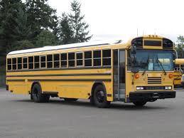 Image result for School Bus Yellow 2009 Fleet