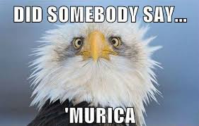 Image result for murica meme