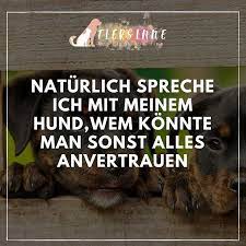 Marilyn monroe zitat hunde beissen mich nie nur menschen zitate beruhmter personen. Hundespruche Hundeleben Hundewelt Hunde Hundespruche Hund Funnies