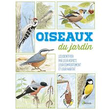 Les oiseaux sont de précieux compagnons pour le l'accueil et l'hébergement des oiseaux dans un jardin passent également par l'implantation. Oiseaux Du Jardin Ligue Royale Belge Pour La Protection Des Oiseaux