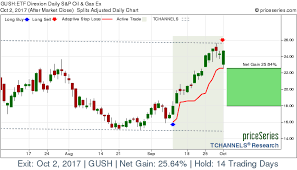 etf gush direxion daily s p oil gas ex stock gains 25 65