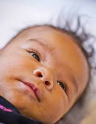 Greater Minneapolis Crisis Nursery Annual Report 2013