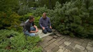 Jenn installs a water feature that richard diagnoses and repairs a water system with air in it; Ask This Old House E6 Installing Water Features Ask This Old House
