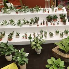Pin Auf Garden Plants Dollhouse Miniatures