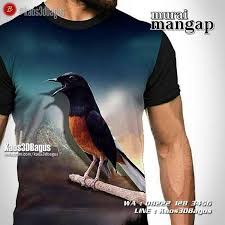 Burung ini aslinya punya postur tubuh yang gagah dengan jambulnya di kepala, lho. Kaos Burung Kaos Kicau Mania Kaos 3d Burung Kicau