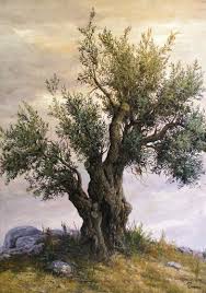 Pin By Zdenka Grebenjak On Zdenka Olive Tree Painting Tree Painting Tree Art