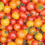 Tanana Valley Children's Market - September
