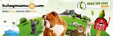 Kolay Mama Internet Magazasi Kedi Mamasi Kopek Mamasi Kedi Kumu Pro Plan Hills Royal Canin Pet Shop Kedi Ve Kopek Oyuncak Kopek Oyuncaklari Kopek Kedi