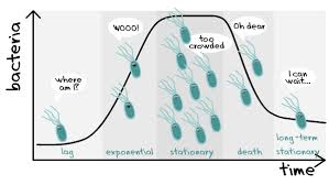 Growthcurve Png 600 338 Exponential Exponential Growth Microbiology