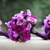Collection by brides + flowers. Https Encrypted Tbn0 Gstatic Com Images Q Tbn And9gcqrnwfg0ods0piroiktupkwe983ixf Wagqdx8ds7v7eyprfftb Usqp Cau