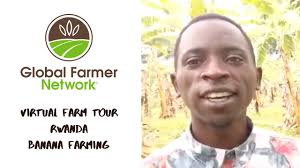 Rwanda-Banana Farming