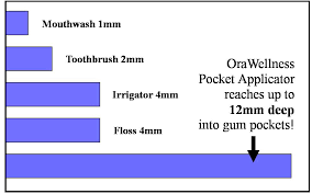 Healthy Mouth System