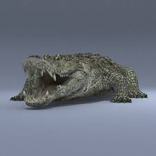 Realistic Crocodile Animation 3d Model In 2020 Animation 3d Model Crocodile