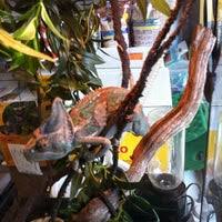 Seascape aquarium & pet center has 3 stars. Seascape Aquarium Pet Center Gulf Gate Sarasota Fl