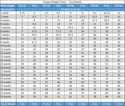 16 Correct Weight Age Growth Chart