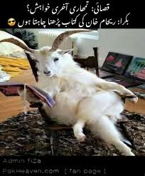 Once reading you can also share this collection with your friends. Pin By Zahida Ramzan On Urdu Corner Funny Memes Funny Jokes Fun Quotes Funny