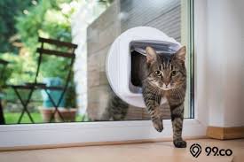 Ular adalah salah satu hewan paling penting dalam rantai makanan. 15 Cara Mencegah Ular Masuk Rumah Yang 100 Ampuh