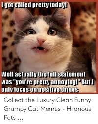Quality bongo cat memes for 20 minutes.disclaimer: Igot Called Pretty Today Well Actually The Full Statement Was You Re Pretty Annoying But Only Focus On Positivethings Collect The Luxury Clean Funny Grumpy Cat Memes Hilarious Pets Funny Meme