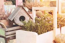 BYOB Birdhouse Planter Workshop