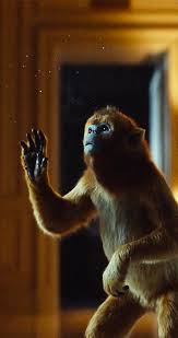 His Dark Materials Golden Monkey Wallpaper Hd Dark Material His Dark Materials His Dark Materials Bbc