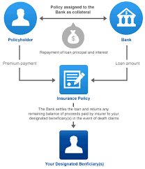 Insurance Agency Insurance Agency Chart Of Accounts