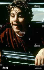 Morgan dog hi-res stock photography and images