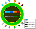 Human leukocyte antigen