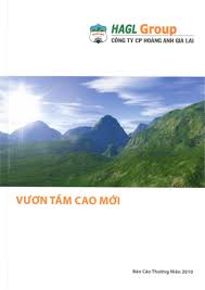 Hoang anh gia lai stats. Lacp 2010 Vision Awards Annual Report Competition Hoang Anh Gia Lai Group Hagl Aquarius Company Limited