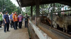 Lowongan ini terbuka untuk siapapun. 9sgbtuazp00oom