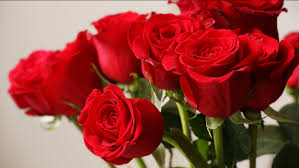 Does peltz shoes offer free shipping? Friday Faves Houston S Top 10 Florists Abc13 Houston