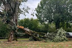 News source: Le Journal du Centre