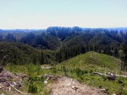 Forest service includes 19 national forests, a national scenic area, a national grassland, and two national volcanic monuments within the states of washington and oregon. Pacific Northwest Forests Fit Trifecta For Curbing Climate Change If We Stop Logging Them Crosscut