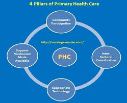 Four Major Pillars Of Primary Health Care System Phc Health Care Healthcare System Nursing Notes