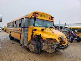 Image result for School Bus Yellow 2019 Transit