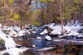 15 Best Things To Do In Granby Ct The Crazy Tourist Things To Do State Forest Granby
