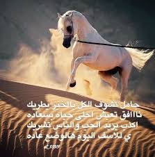 شعر نبطي قصيد ابيات قوافي عشق قافية غزل مدح كلمات خواطر بو ح arabic quotes portrait photography life quotes