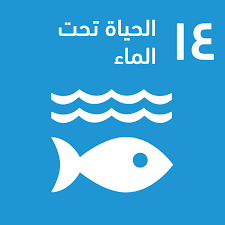 هدف التنمية المستدامة 14 الحياة تحت الماء أهداف التنمية المستدامة منظمة الأغذية والزراعة للأمم المتحدة