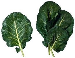 You have to cut them into tiny bits and cook them for so long just to soften them up. How Long Does It Take To Grow Collard Greens