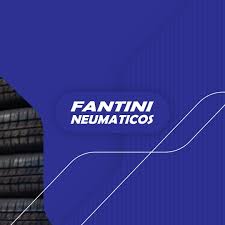 FANKUI NEUMÁTICOS Y SERVICIOS