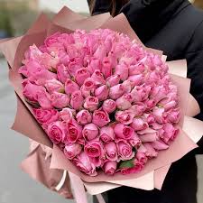 Pink Roses - Ag Ciceyim