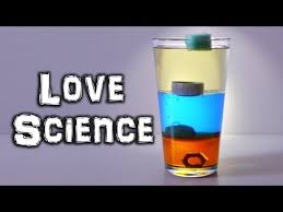Denser Than You Think Science Experiment Science Experiments Cool Science Experiments Physics Experiments