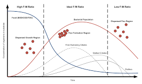 Food To Mass F M Ratio