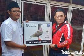 Balap merpati sprint lomba nasional 2018 final scorpio vs new royal, hadiah mobil!!!balap merpati sprintbalap merpati sprint 2018lomba merpati balap sprint n. Burung Merpati Milik Warga Bandung Terjual Rp 1 Miliar Pikiran Rakyat Com