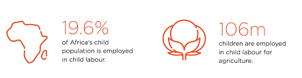 Child Labour Statistics Sustainable Fashion Common Objective