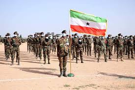It is a large political map of. Somaliland National Army Wikipedia
