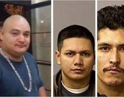 6 arrested in death of California police officer, sheriff rips sanctuary  laws