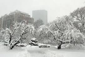 25 Things To Do In Boston For Under 25 Boston Vacation Boston Things To Do Vacation Trips