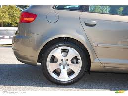 Image result for Dark Beige 2006 A3